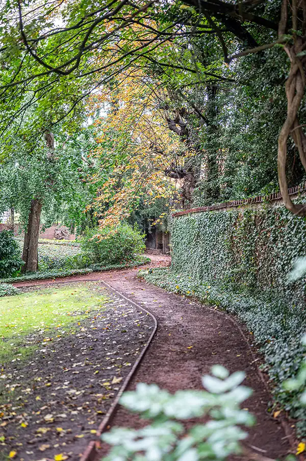 Walking paths with trees