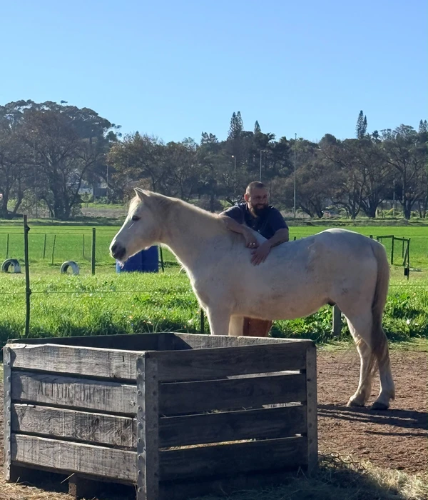 A bearded man gently strokes the neck of a white horse in a sunny, green outdoor pasture with trees in the background.